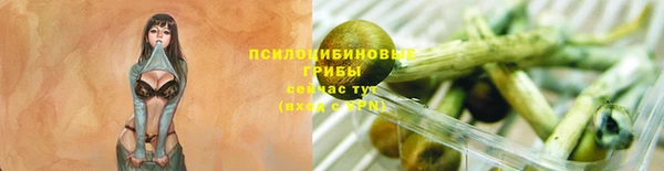 не бодяженный Аркадак